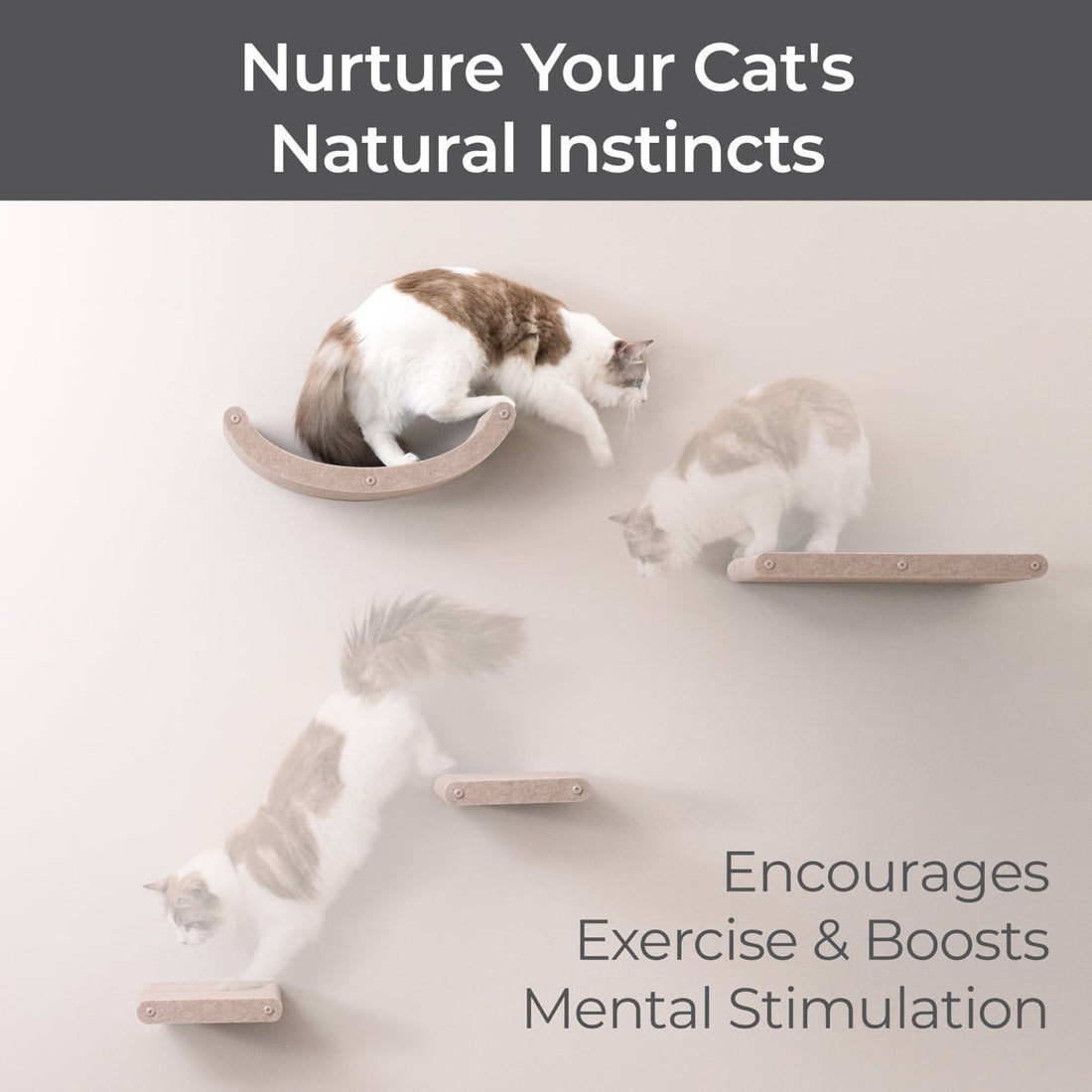 Set of 4 Oatmeal Cat Climbers - Pryde Pets