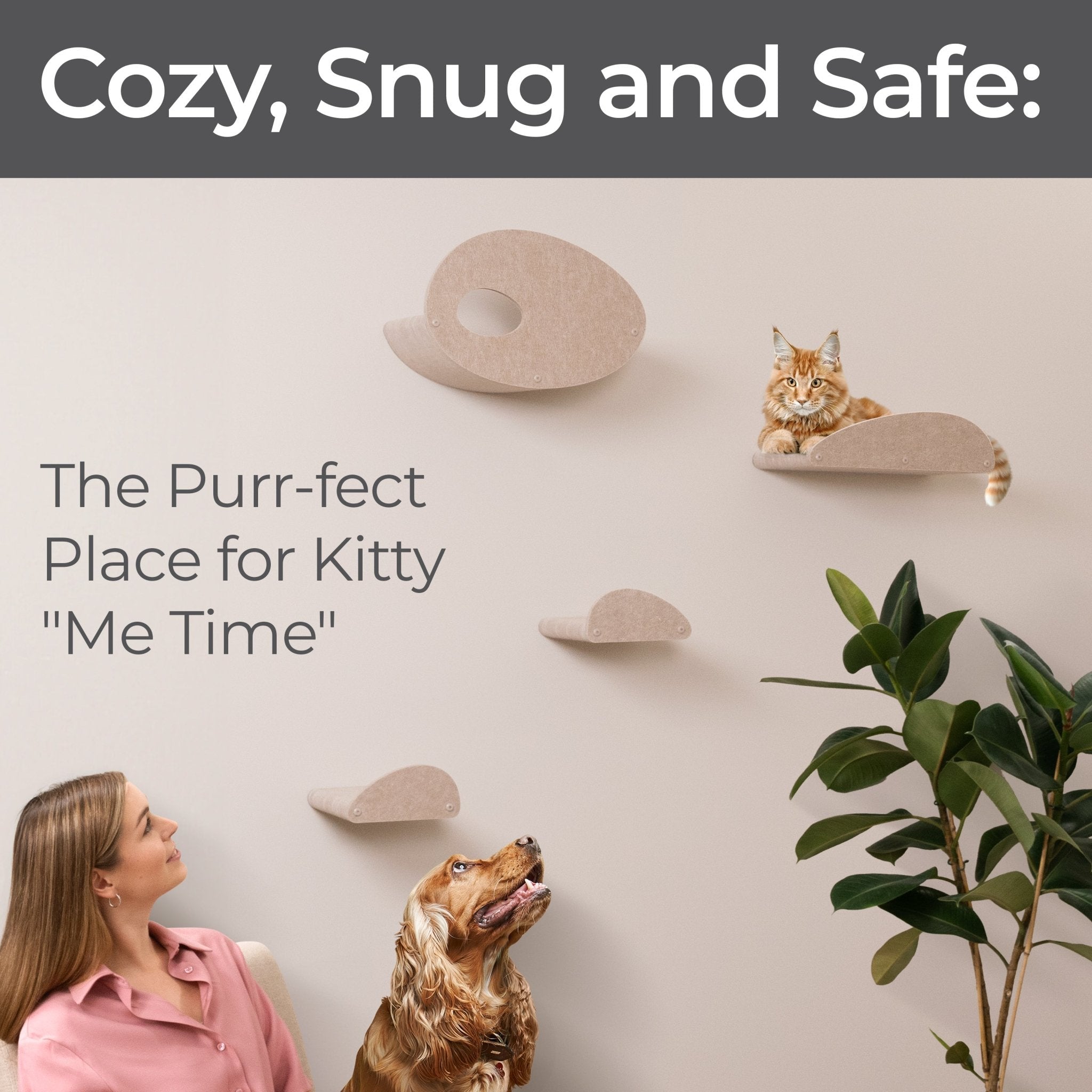 Set of 4 Oatmeal Cat Climber Facade Add - Ons - Pryde Pets