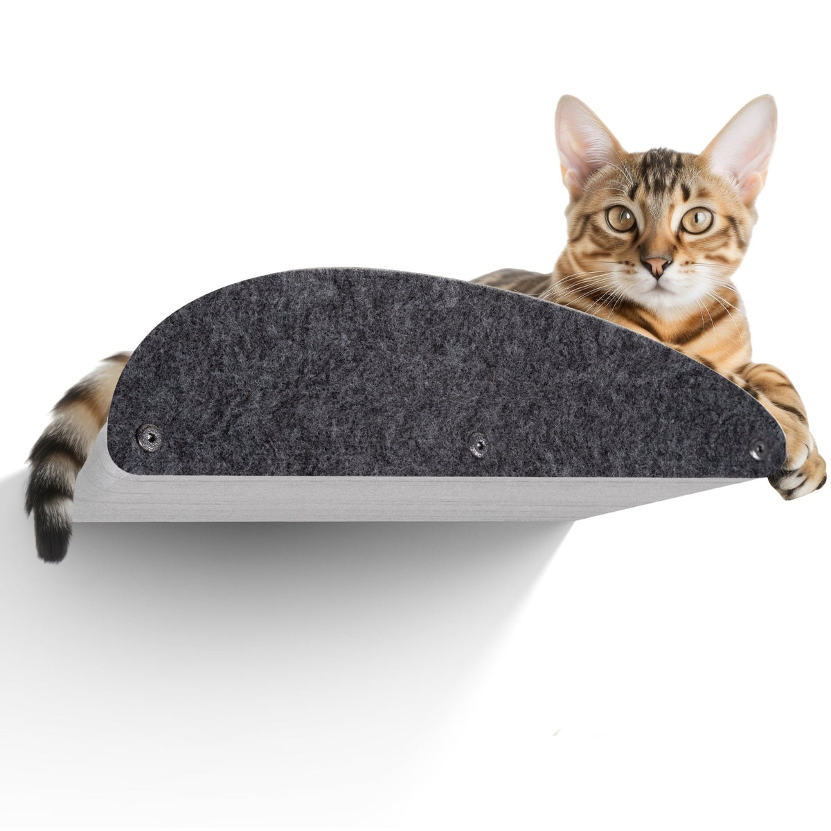 Charcoal Long Lounger Cat Climber Facade Add - On - Pryde Pets