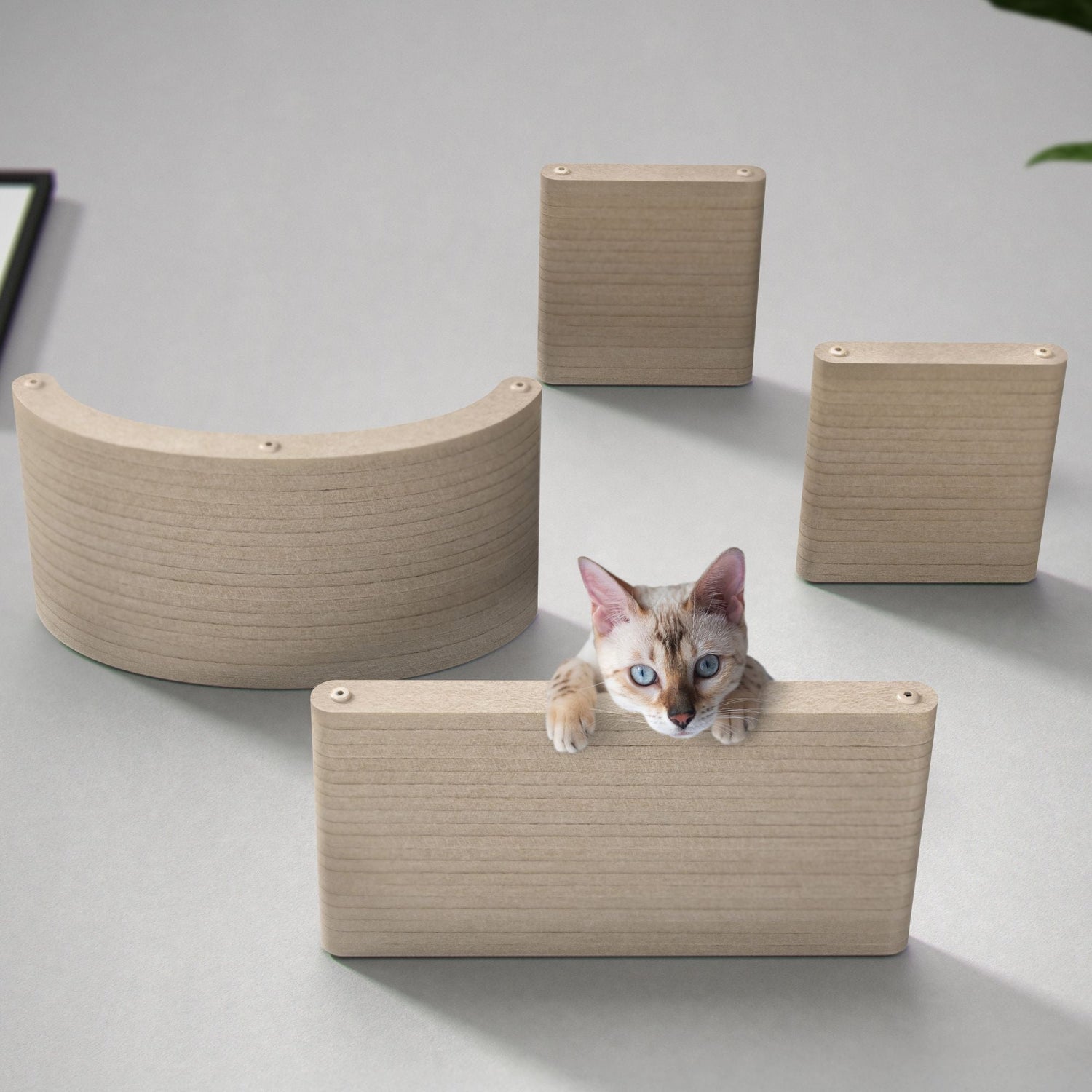 Cat Climber Shelves - Pryde Pets