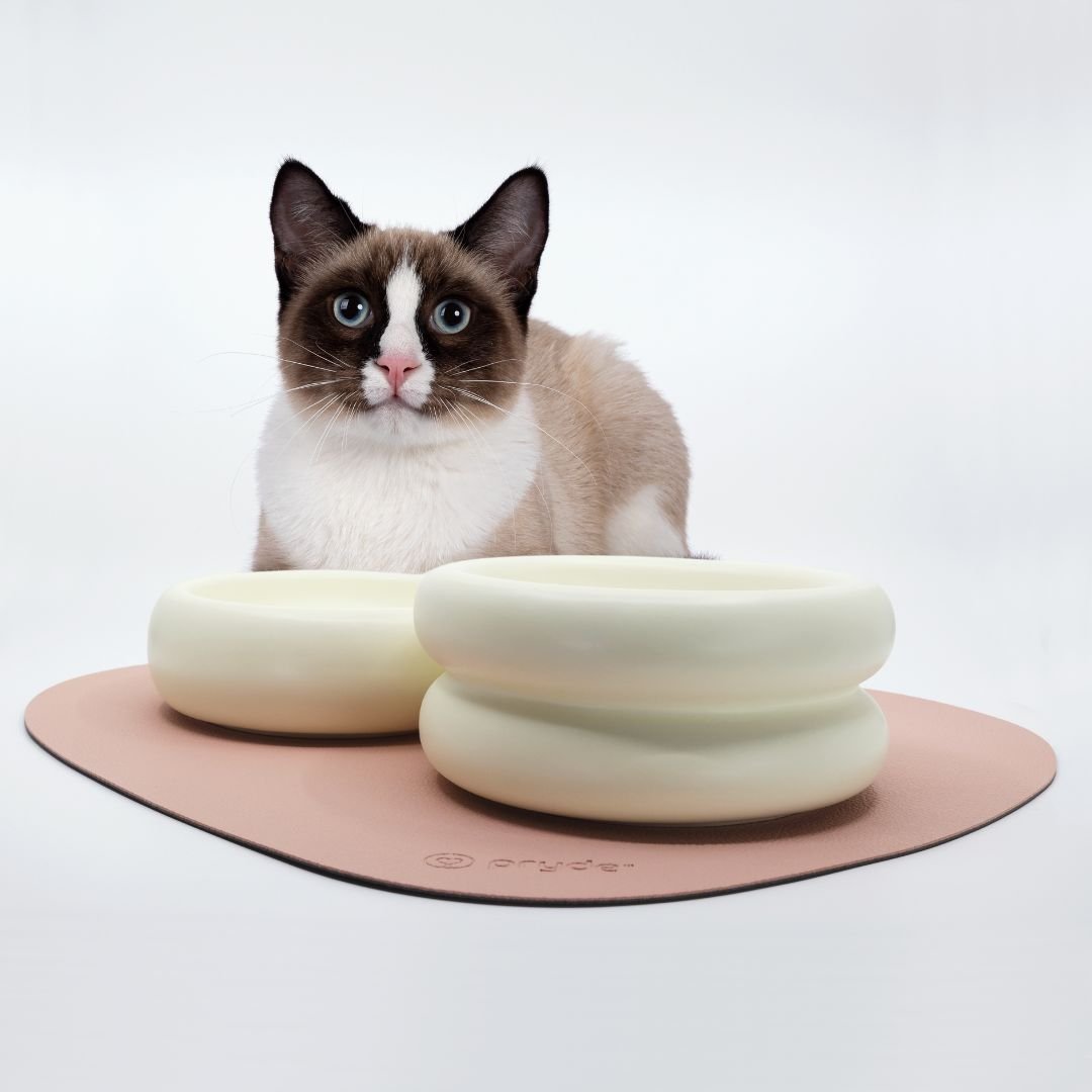 Complete Dining Sets - Pryde Pets