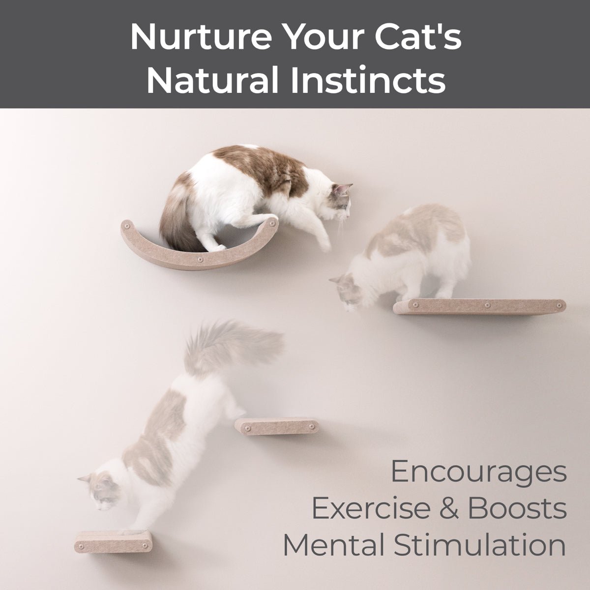 Set of 4 Oatmeal Cat Climbers - Pryde Pets