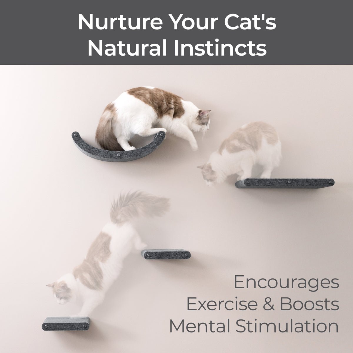 Set of 4 Charcoal Cat Climbers - Pryde Pets
