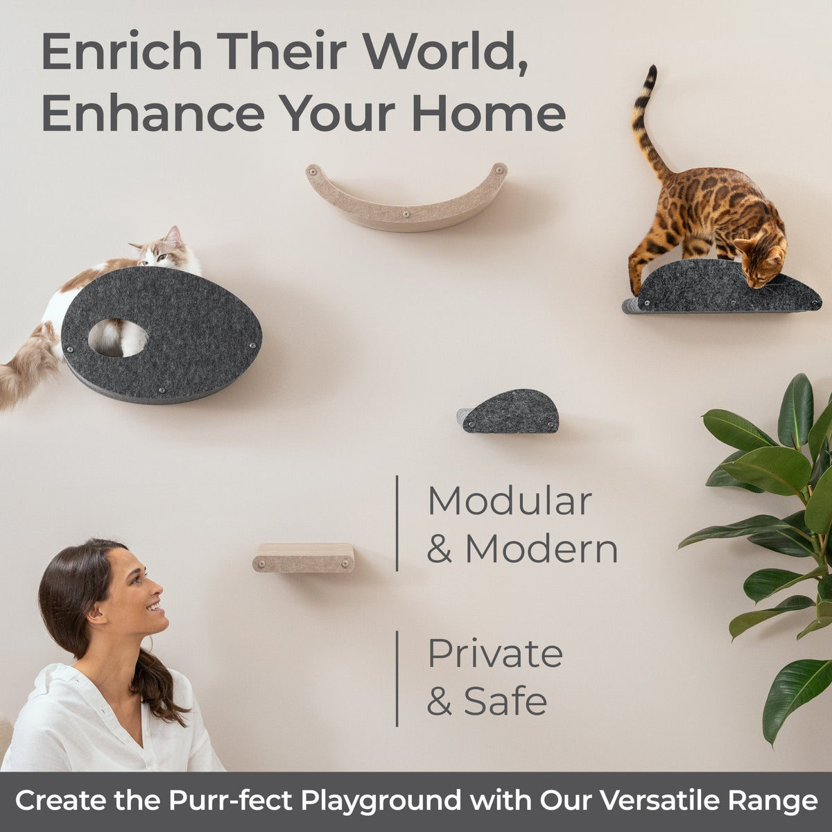 Charcoal Curved Nest Cat Climber Facade Add - On - Pryde Pets