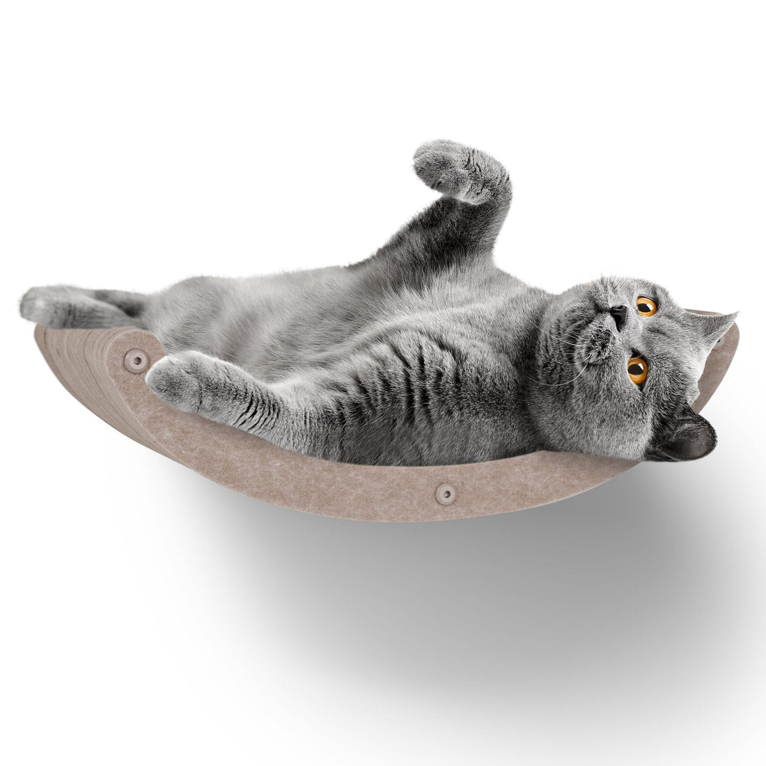 Oatmeal Curved Nest Cat Climber - Pryde Pets