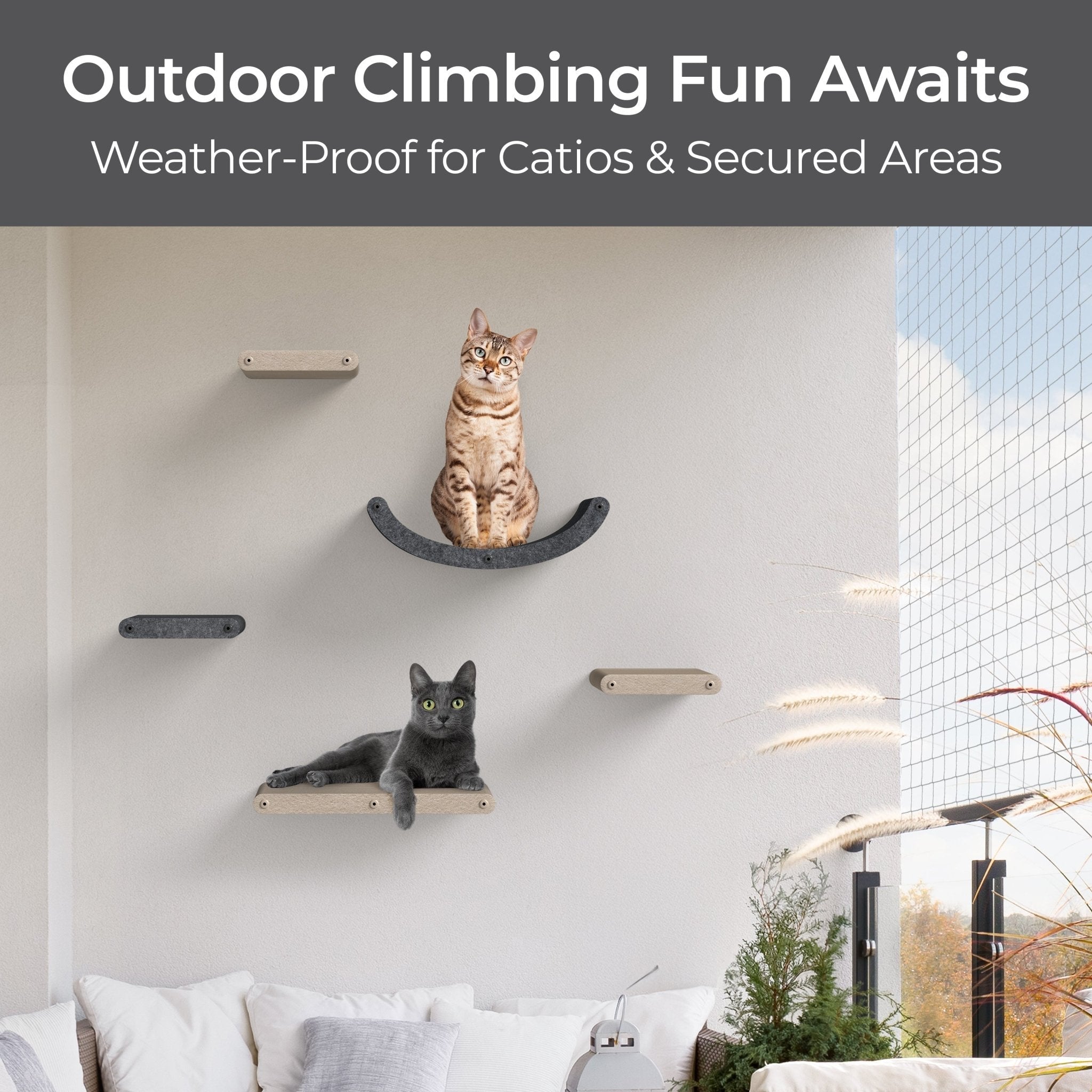 Oatmeal Curved Nest Cat Climber - Pryde Pets