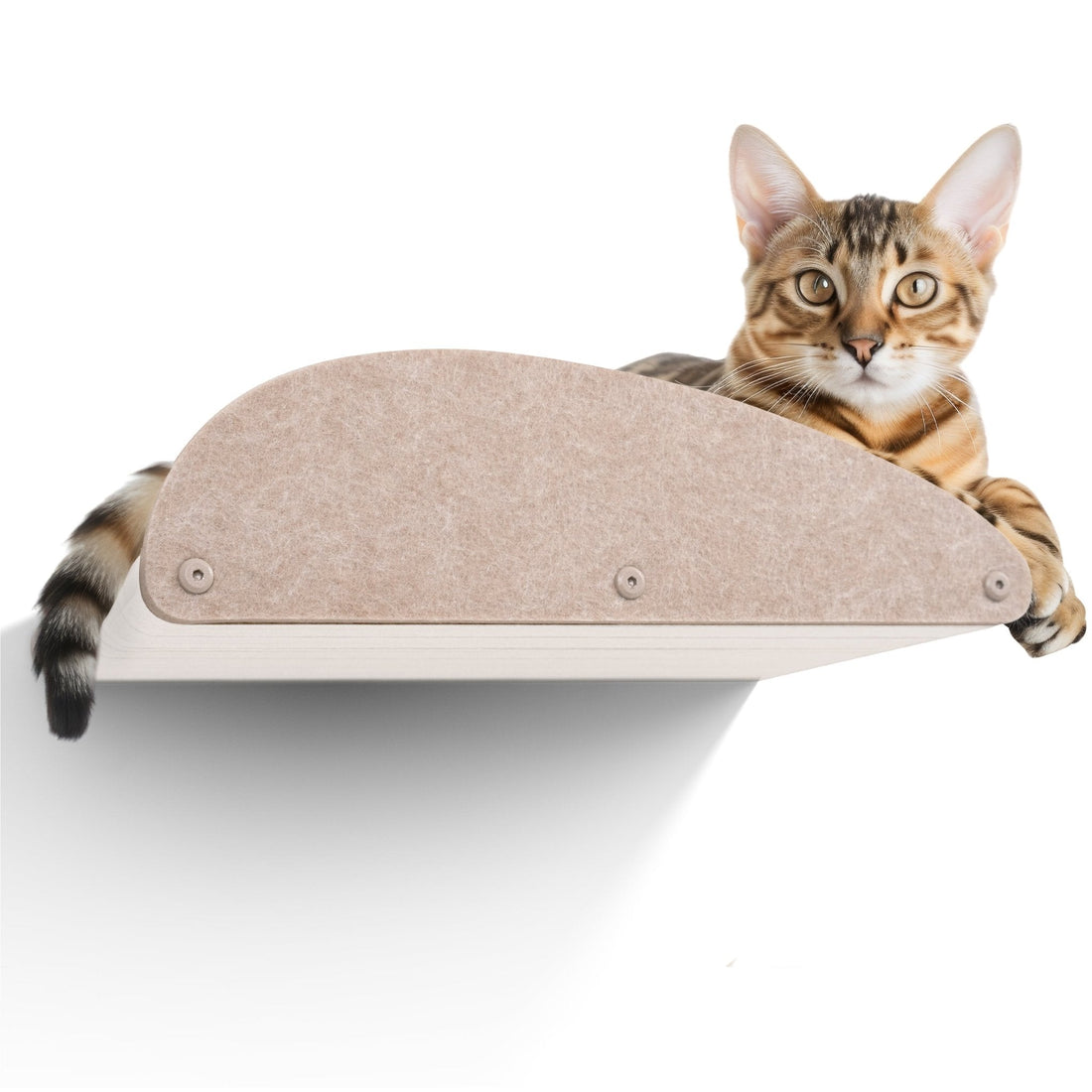 Oatmeal Long Lounger Cat Climber Facade Add - On - Pryde Pets